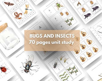 Bugs and insects Montessori Unit Study | 70 Pages of Printable Activities | 3-Part Flashcards, homeschooling resource, early learning