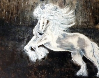 Horse  "Scheherazade" (Scha-hair-eh-zod). Power and Beauty Oils