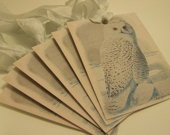 Owl Bird Tags - Set of 6