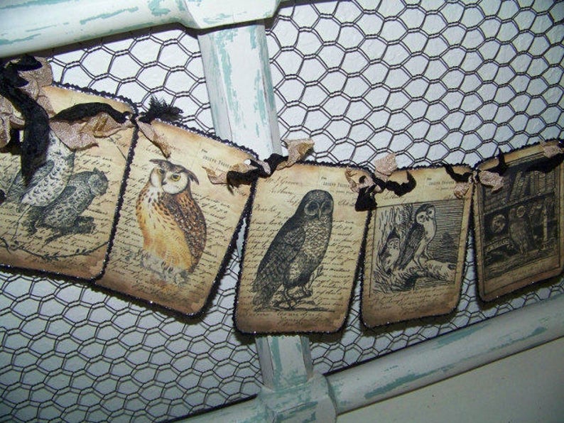 May include: A decorative banner featuring vintage-style owl illustrations on aged paper. The banner has a black trim and is adorned with black and tan ribbons. The owls are depicted in various poses and styles, adding a whimsical touch.