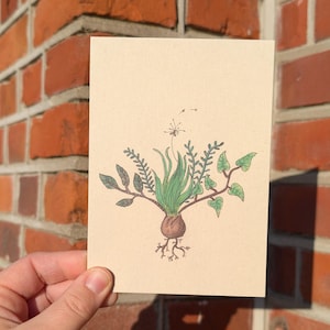 Carte postale – Aquarelle bulbe à fleur – bouquet de fleurs 1
