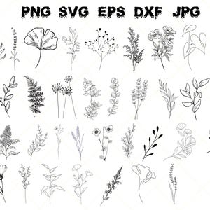 Botanical Svg Bundle Cut File, Floral,Flower leaf,leaves ,Botanical clipart hand drawn doodle style svg, png, eps, dxf for cricut