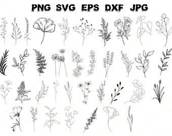 Paquete SVG botánico: Clipart floral dibujado a mano (descarga digital)