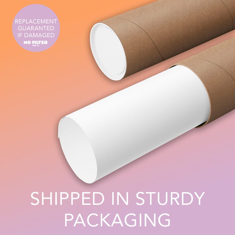 May include: Two brown cardboard tubes with white end caps, one partially unrolled to reveal a white interior. The image has text that reads "REPLACEMENT GUARANTEED IF DAMAGED NO FILTER" and "SHIPPED IN STURDY PACKAGING" against a gradient background.