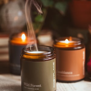 Pet Friendly Scented Soy Candles, Phthalate and Paraben Free, Natural Wax, minimalist design candle, Dog Friendly, Cat Friendly