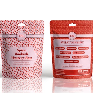 Bookish Mystery Bags