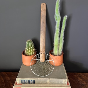 May include: A vintage kitchen strainer with a wooden handle and wire mesh, resting on a stack of old books. Two potted cacti flank the strainer, creating a rustic, botanical display against a dark gray backdrop.
