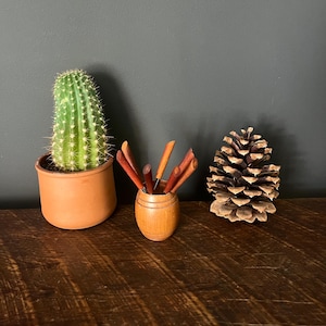May include: A green cactus in a terracotta pot, a small wooden barrel holding several brown sticks, and a large pine cone are arranged on a wooden surface. The background is a solid dark gray.