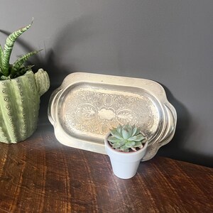 May include: A silver tray with an ornate design and a small succulent plant in a white pot.