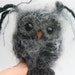 see more listings in the Owl Friends section