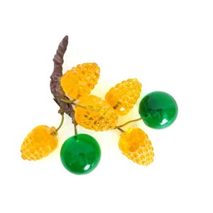 Vintage Lucite Acrylic Fruit Mid Century Retro Home Ranch Decor MCM Table Display