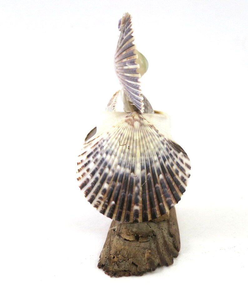 Bird Shell Vintage 70s Owl Seashell Bird Statue Retro Home Decor Kitschy Bird ...