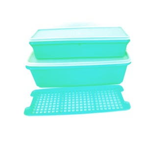 May include: Two rectangular, mint green plastic food storage containers with matching lids stacked on top of each other, accompanied by a separate, flat, mint green plastic grid insert with a square-patterned cutout design.