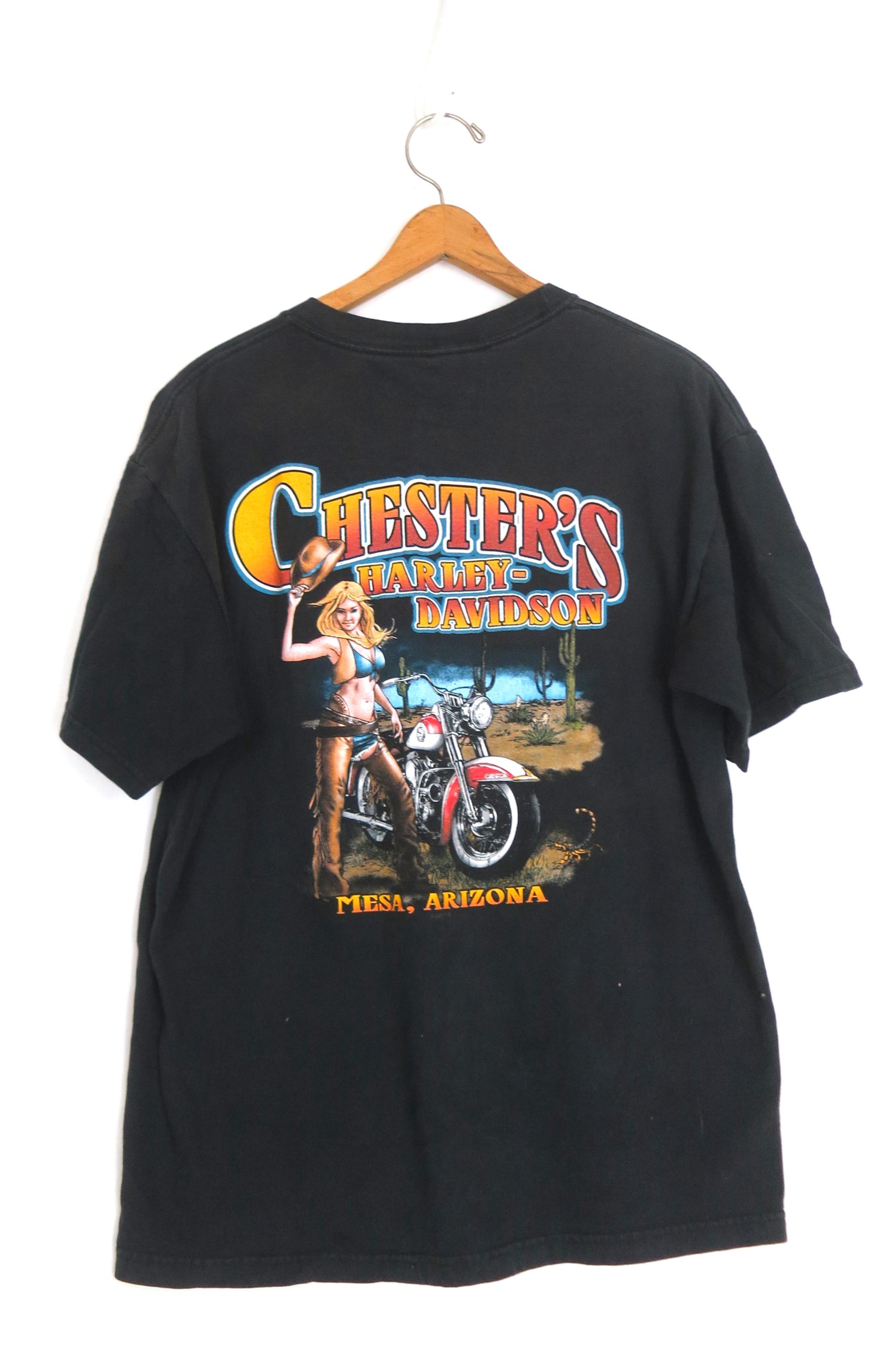 ヴィンテージ ハーレーダビッドソン バイカー Tシャツ チェスターズ 