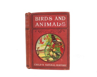 Vintage Birds and Animals or Child's Natural History by Henry Davenport Antique Illustrations Hardcover Book Decor Kids Room