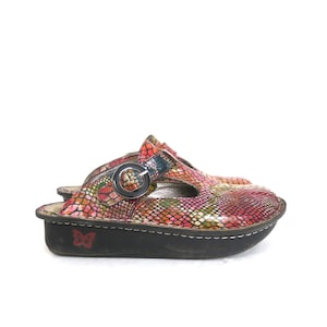 May include: A pair of colorful clogs with a reptile-like pattern in shades of red, pink, green, and yellow. The clogs have a black sole with a butterfly emblem and a silver buckle. The shoes are designed for comfort and style.