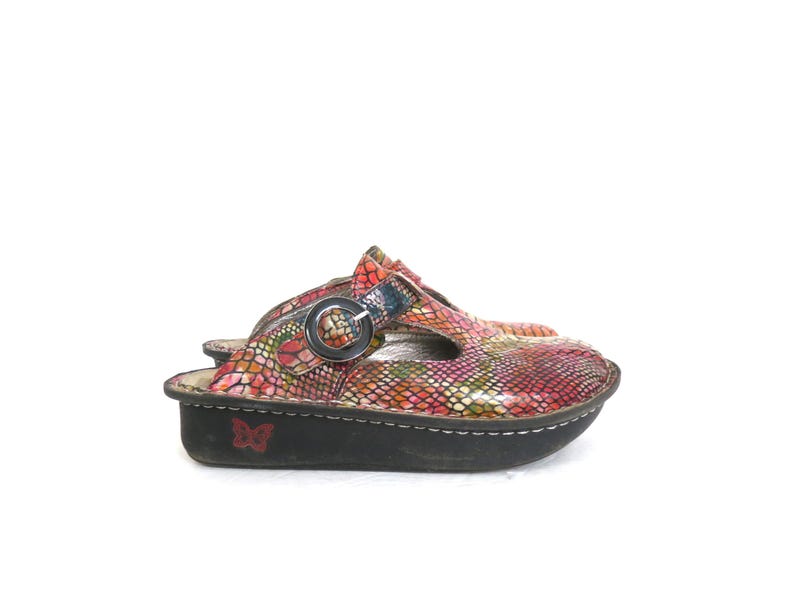 May include: A pair of colorful clogs with a reptile-like pattern in shades of red, pink, green, and yellow. The clogs have a black sole with a butterfly emblem and a silver buckle. The shoes are designed for comfort and style.