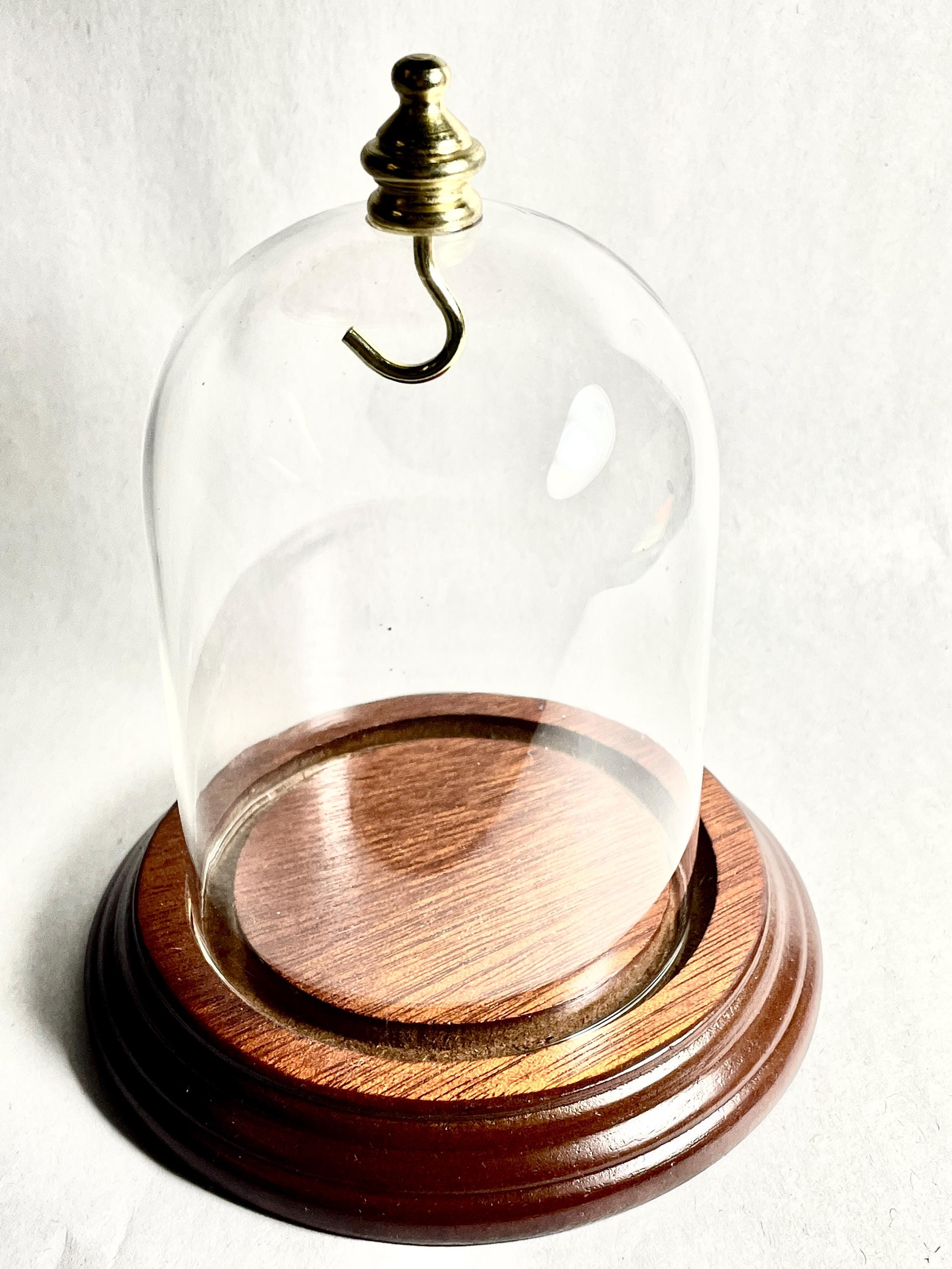 Pocket Watch dome 3 x 4" glass dome with brass knob and reddish walnut base.  Brand new