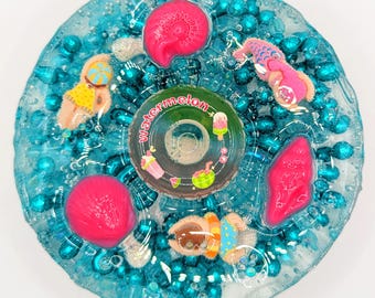 Summer Sensory Picky Pad, Watermelon Scented Seashells, Anxiety Relief Fidget Toy