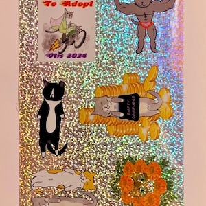 Vinylstickervel Trap Neuter Return (TNR)