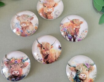 Highland cows 25 mm glass dome covers set of 6 1 inch jewelry charms