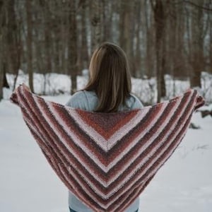 Puede incluir: Una persona vista de espaldas, con una camiseta gris y vaqueros azules, sostiene un gran chal hecho a mano. El chal presenta un patrón de rayas en tonos marrones, rosas y blancos, formando una V. El fondo es un bosque nevado.