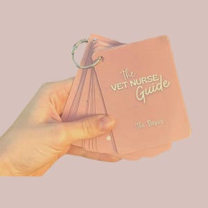 May include: A set of pink flashcards held together with a silver ring. The cards have rounded corners and feature the text "The VET NURSE Guide" and "The Basics" in white. The background is a pale pink.