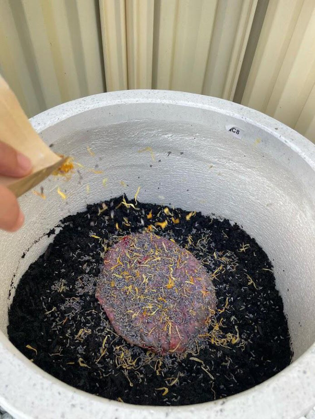 Placenta Ritual Burial Kit + Keepsake Instructions - Etsy