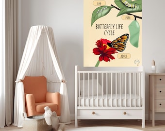 Diagrama del ciclo de vida de la mariposa, póster educativo (descarga digital)