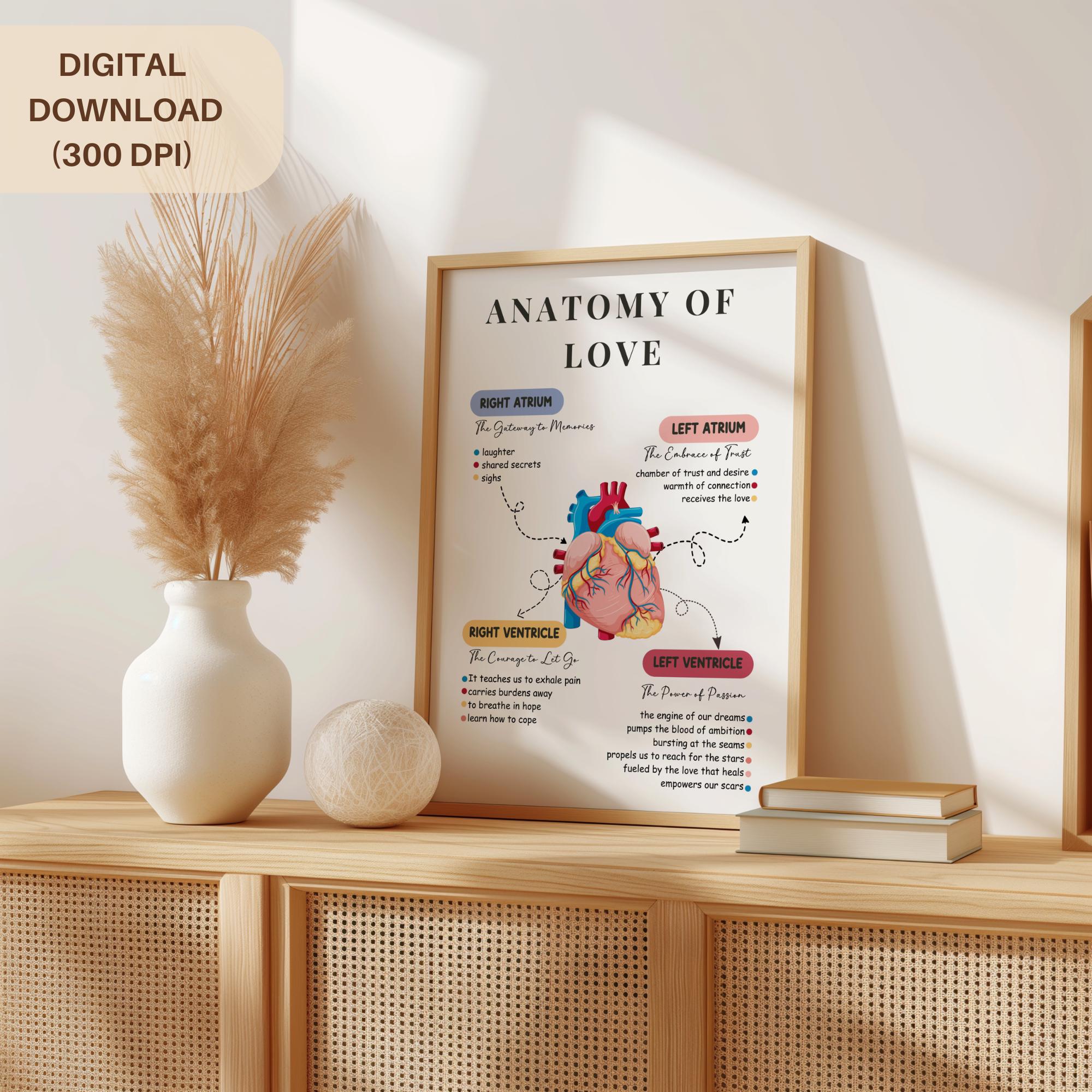 Human Heart Print, Heart Anatomy Poster, Cardiovascular System Wall Art ...