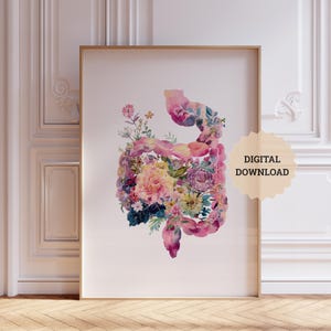 Medical Student Posters, Digestive System Anatomy Poster, Anatomical Prints for Nursing Decor, Doctor Printable Present, Medicine Room Art