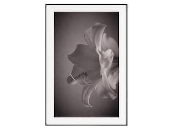 ミニマリストボタニカルファインアートプリント - 花の写真ウォールアート - ニュートラルジャパンディデコレーション - 限定版アーカイブピグメントプリント