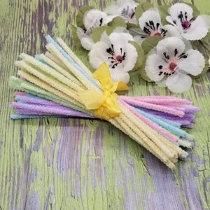 May include: A bundle of pastel-colored pipe cleaners tied with a yellow ribbon. The pipe cleaners are in shades of pink, purple, blue, yellow, and green. White fabric flowers with black and pink centers are in the background.