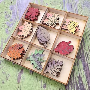 May include: A square wooden organizer box with nine compartments containing stacks of small, flat, laser-cut wooden leaf shapes in various colors including red, orange, yellow, green, purple, and pink, each featuring detailed vein engravings.