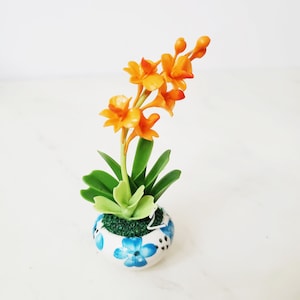 May include: A small potted orange orchid plant with green leaves in a white ceramic pot with blue floral designs.