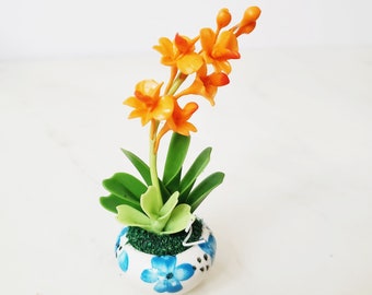 1 DANCING LADY ORCHID Miniature Flower_Handmade flower, long lasting,ceramic pot yellow pink