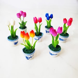 May include: Assortment of miniature potted tulips in various colors, including red, pink, blue, white, and orange. The pots are white with blue floral designs.