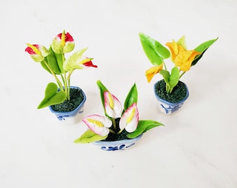 1 AUTHURIUM, LACELEAF, FLAMINGO Miniature Flower_YOU PICK_Handmade flower, long lasting,ceramic pot, Pink Red Yellow Burgundy