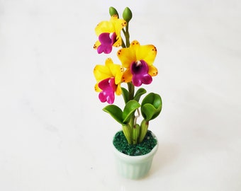 1 CATTLEYA ORCHID Miniature Flower_Handmade flower, long lasting,ceramic pot, purple Orange