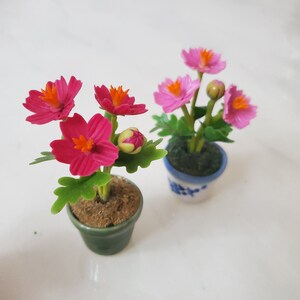 1 COSMOS Miniature Flower_Handmade flower, long lasting,ceramic pot, Pink Magenta image 4