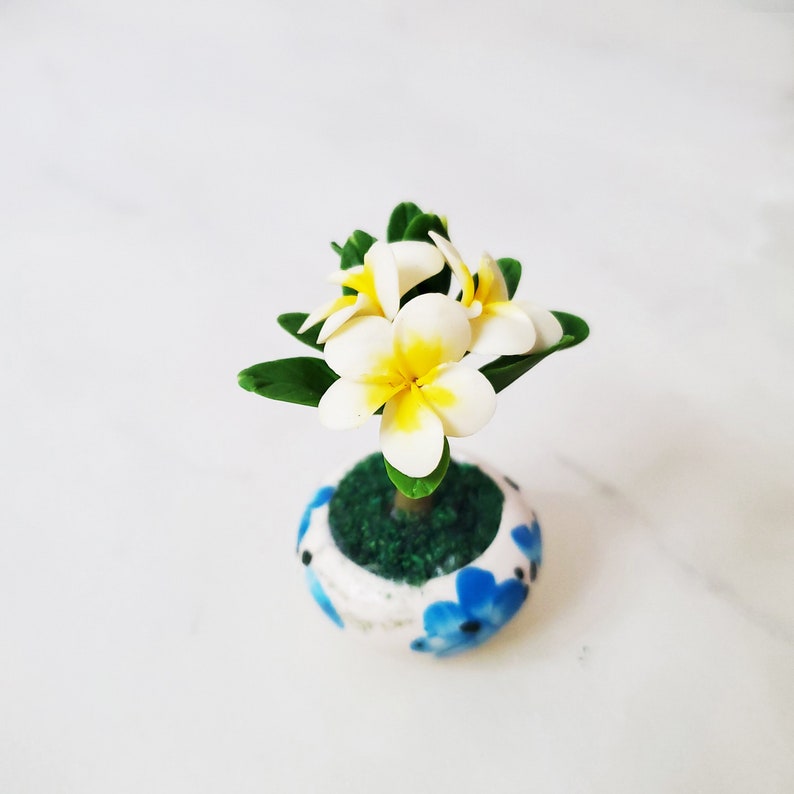 1 PLUMERIA Miniature Flower_Handmade flower, long lasting,ceramic pot, Pink White Yellow Purple HAWAIIAN Flower image 1