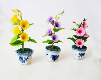 1 MORNING GLORY Plant Pink Miniature Flower_Handmade flower, long lasting,ceramic pot, Pink Blue purple