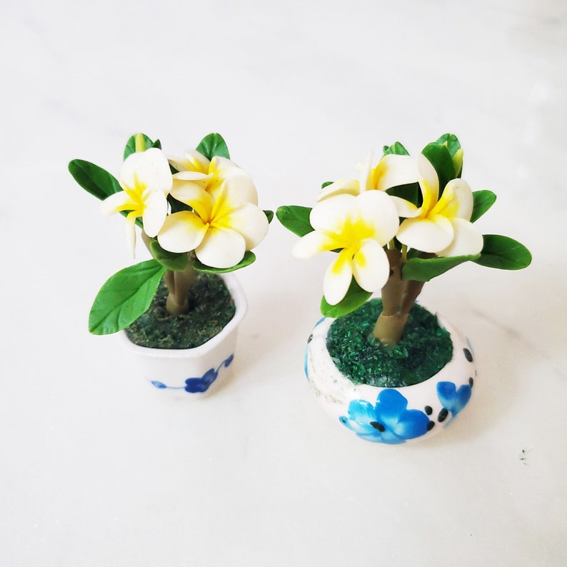 1 PLUMERIA Miniature Flower_Handmade flower, long lasting,ceramic pot, Pink White Yellow Purple HAWAIIAN Flower image 2