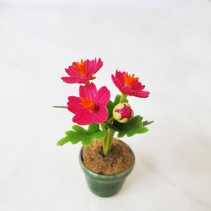 1 COSMOS Miniature Flower_Handmade flower, long lasting,ceramic pot, Pink Magenta image 2