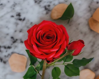 A Gorgeous Handmade Flower_ Red Rose_single or bouquet_Perfect Gift for her