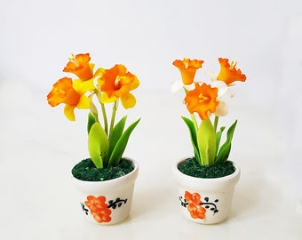 1 DAFFODIL Miniature Flower_Handmade flower, long lasting,ceramic pot, Pink yellow Orange