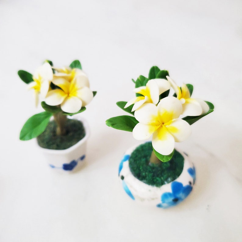 1 PLUMERIA Miniature Flower_Handmade flower, long lasting,ceramic pot, Pink White Yellow Purple HAWAIIAN Flower image 3