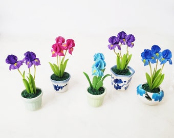 1 IRIS Miniature Flower_YOU PICK_Handmade flower, long lasting,ceramic pot,pink purple blue