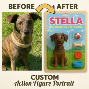 Custom Action Figure From Your Pet Photo, Personalized Digital Pet AI Action Figure Transform Your Pet Into oy Action Figure or Doll