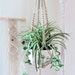 see more listings in the Macrame Single Hangers section